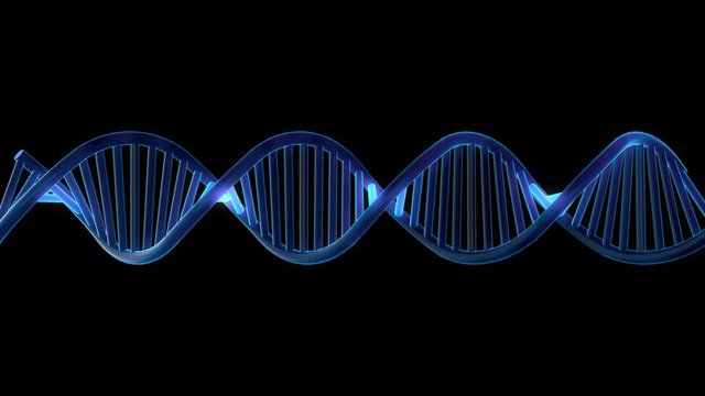 DNA stand rotating and twisting against a black background - seamless looping.