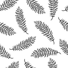 Vector seamless background with hand drawn illustration of herbs, or plants black on white field. Can be used for wallpaper, pattern fills, web page, surface textures, textile print, wrapping paper