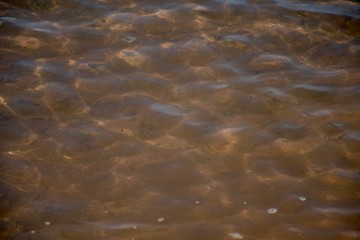ripples in water