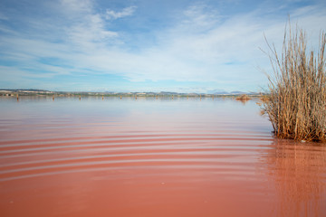 Pink lake Torrevieja