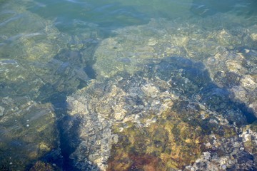 view of coral reef
