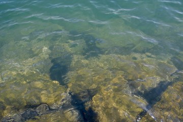 view of sea and coral reef