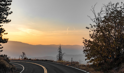 road through yosemite national park early morning