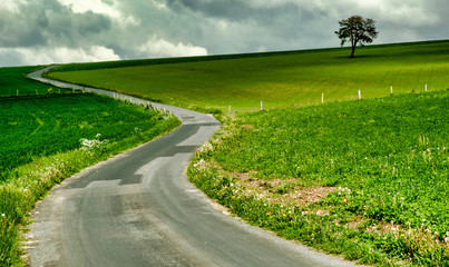 Route sur le causse Méjean en Lozère, France
