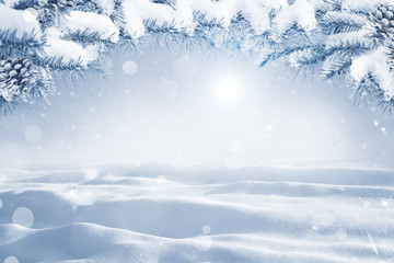 Winter Christmas scenic background with copy space. Morning Snow landscape with christmas branches covered with snow close-up, sunlight, snowdrifts and falling snow on nature outdoors, copy space