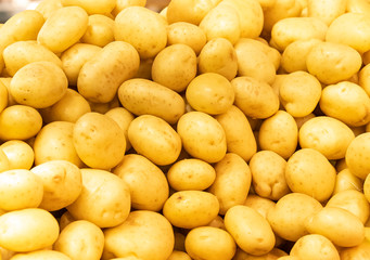 feira legumes verduras