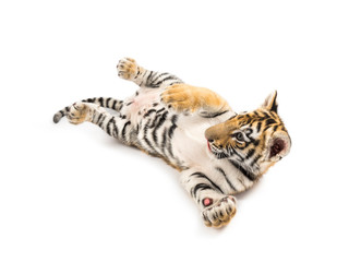 Two months old tiger cub lying against white background