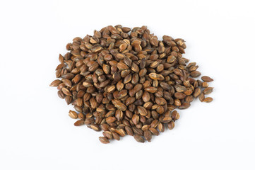 麦茶