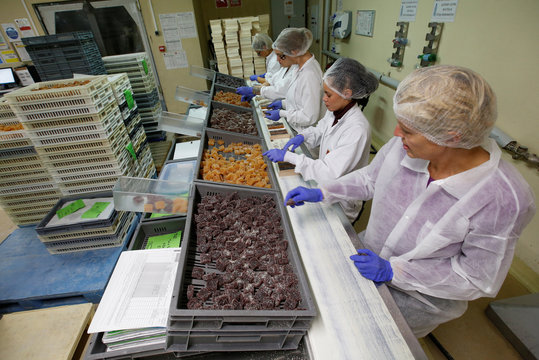 Workers prepare fruit jelly for export at the Cruzilles factory in Clermont-Ferrand