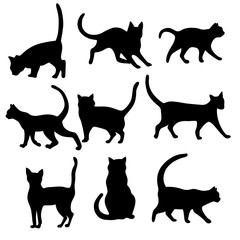 Isolated Cats on the white background. Cats silhouettes. Vector EPS 10.