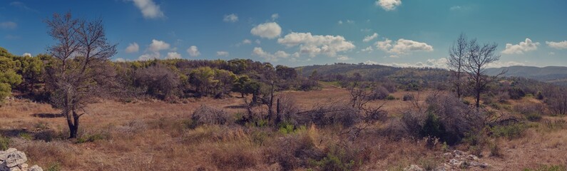 Greece, Zakynthos Island beautiful view panorama