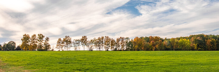 Obraz premium Hollis Treeline 5