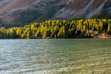 evening light at Lake Sils in Engadine