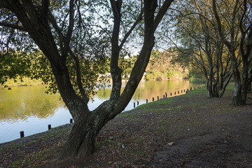 strolling in the city park of oporto