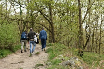 man in the forest adventure