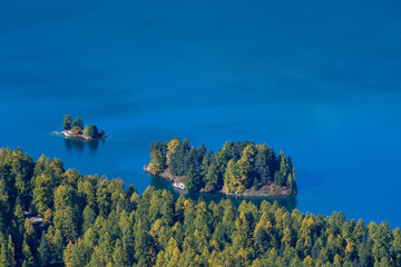 island in Lake Sils in Engadin in Autumn