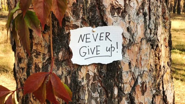 Never give up - card with lettering, motivation phrase on nature