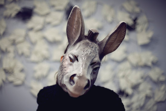 donkey selfie