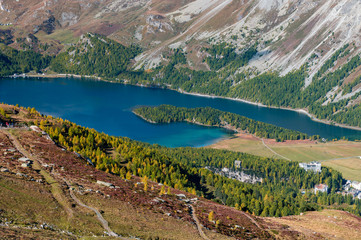 view of Lake Sils from Furtschellas in Engadin in Autumn