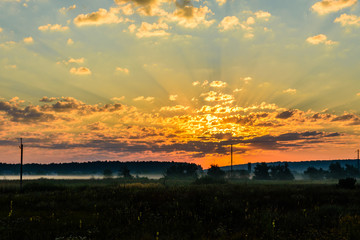 Fog on a meadow in morning on summer