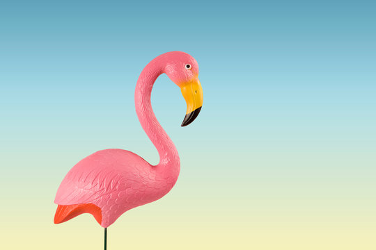 pink flamingo on a blue background