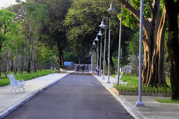 Sunrise In a Green public park
