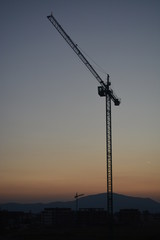 crane at sunset 