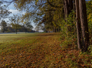 fall or autumn scene with leaves at golf couse