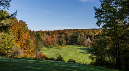 Fototapeta premium green grass golf course in fall with autumn leaves and trees