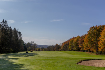 Fototapeta na wymiar green grass golf course in fall with autumn leaves and trees