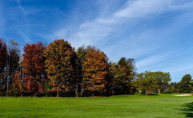 green grass golf course in fall with autumn leaves and trees