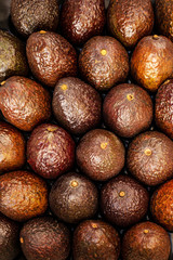 Box of avocado haas fruits (California Avocado), top view
