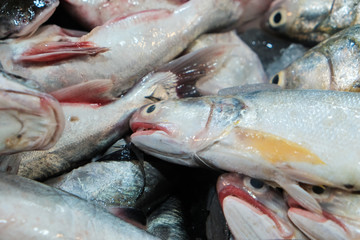 Group of variouse sea fish sell in traditional market