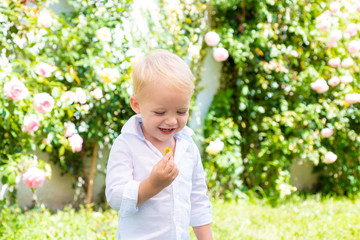 Child outdoors in nature. Beautiful fun day for cute little boy in nature. Little boy enjoy life and nature.