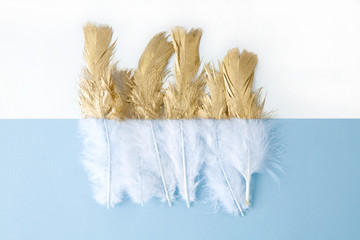 gold feather