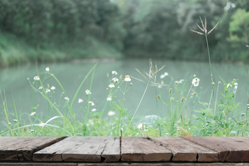white grass flower beside pond lake