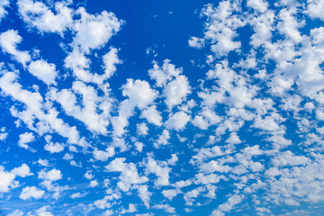White fluffy clouds in the blue sky