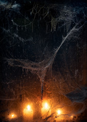 Halloween background with spider web in the darkness