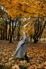 girl in warm clothes, a gray long coat in the autumn park on a walk