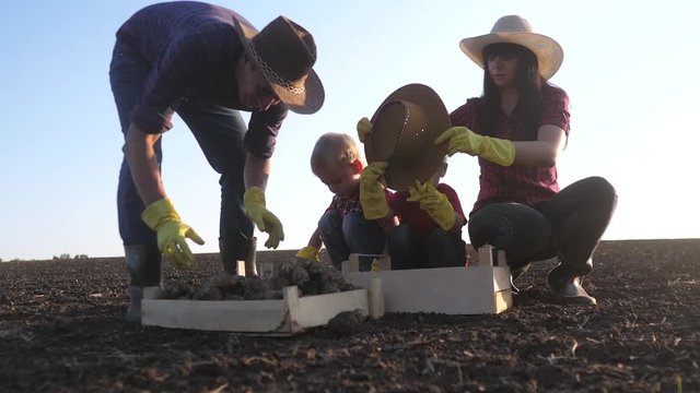 teamwork happy family red neck farmers eco farming. agriculture a concept are working harvest eco farming slow motion video. team of farmers father mom and kids sorting potatoes in wooden crates slow