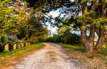 Naklejka premium Old countryside road in summer, Europe