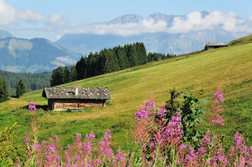 Chalet au milieu d'un pâturage de Savoie, Les Saisies, Savoie, France