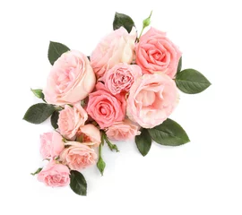 Fotobehang Beautiful rose flowers on white background © Pixel-Shot
