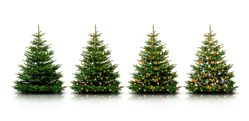 Foto auf Alu-Dibond Geschmückter Weihnachtsbaum mit bunten Weihnachtskugeln isoliert auf weißem Hintergrund © by-studio