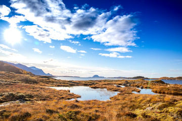 On a walk in beautiful autumn, Northern Norwegian nature is colored