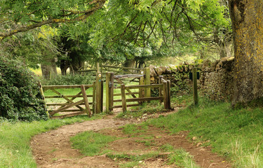 English Rural Landscape with Stile by a Farm Track