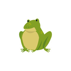 cute toad animal isolated icon vector illustration design