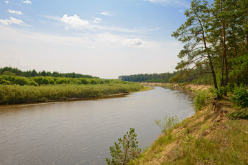 Fototapeta premium Summer landscape with meandering river and trees on the banks