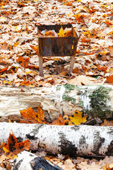 little grill on meadow covered by fallen leaves