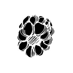 Vector Blackberry healthy food. Black and white engraved ink art. Isolated berry illustration element.